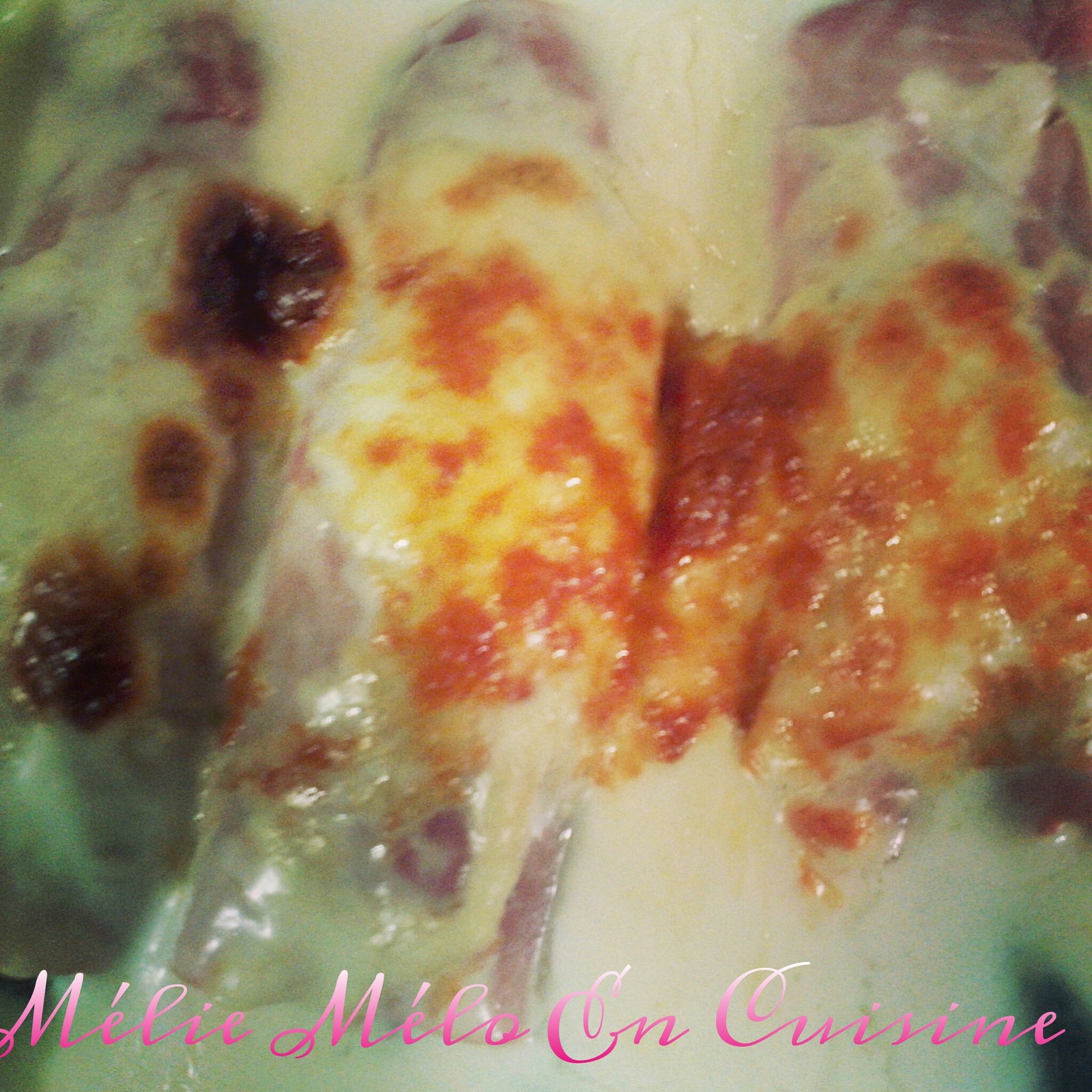 mes endives chti