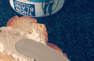 Tartinade de thon ( avec ou sans thermomix ) 